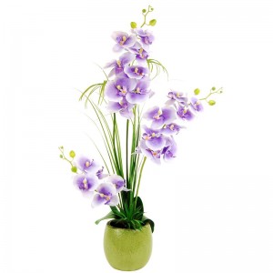 LCGFlorals Phalaenopsis Orchid with Grass and a Succulent in a Distressed Pot LCGF1043